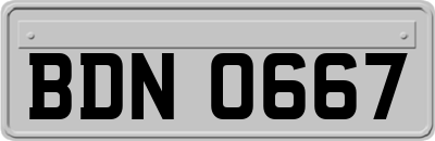 BDN0667