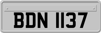 BDN1137
