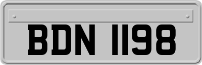 BDN1198