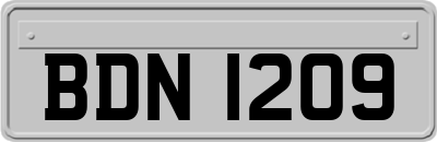 BDN1209