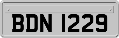 BDN1229
