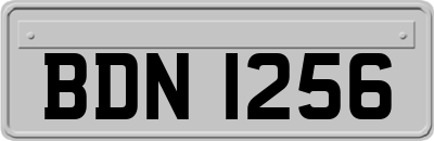 BDN1256
