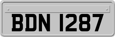 BDN1287
