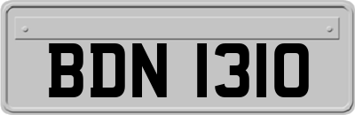 BDN1310