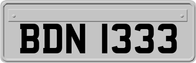 BDN1333