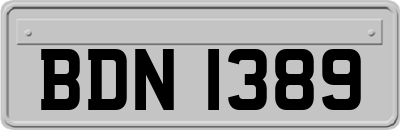 BDN1389
