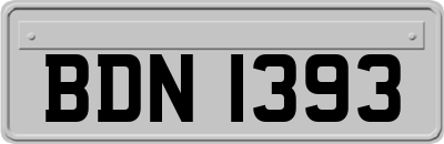 BDN1393