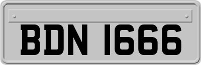 BDN1666
