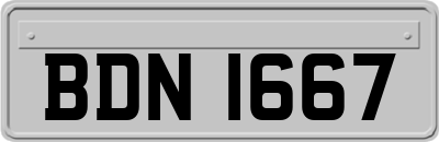 BDN1667