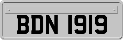 BDN1919