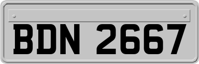 BDN2667