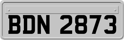 BDN2873