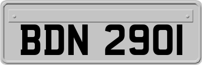 BDN2901