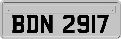 BDN2917
