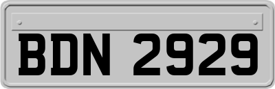 BDN2929