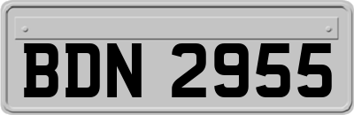 BDN2955