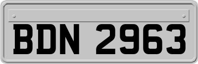BDN2963