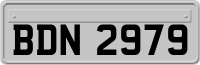 BDN2979