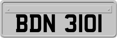 BDN3101