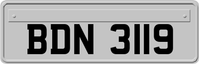 BDN3119