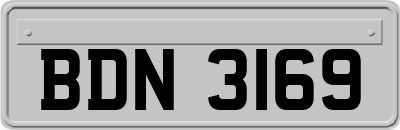 BDN3169