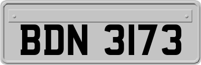 BDN3173