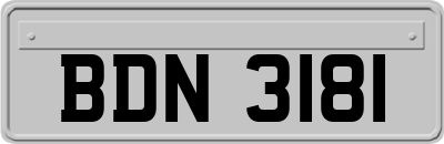 BDN3181