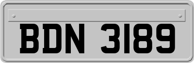BDN3189