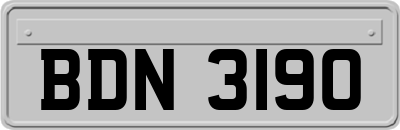 BDN3190