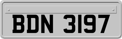 BDN3197