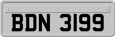 BDN3199