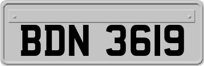 BDN3619