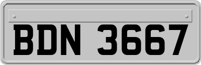 BDN3667