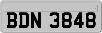 BDN3848