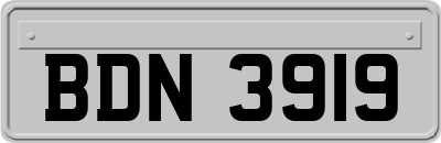 BDN3919