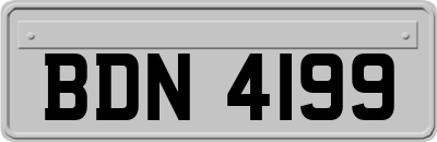 BDN4199