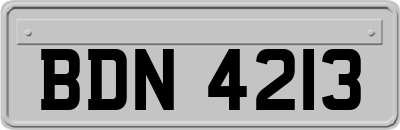BDN4213