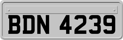 BDN4239
