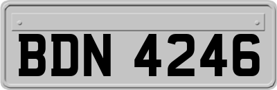 BDN4246