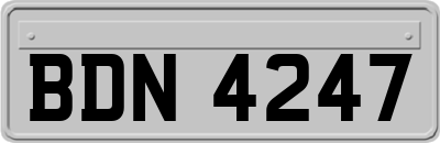 BDN4247