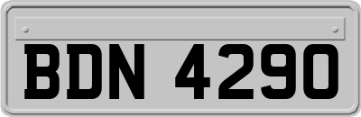 BDN4290