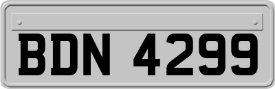 BDN4299