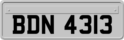 BDN4313