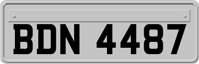 BDN4487