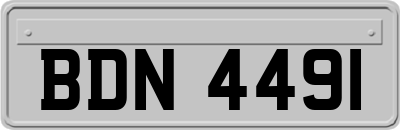BDN4491