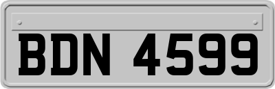 BDN4599