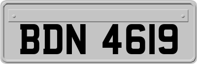 BDN4619