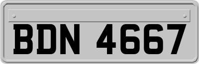 BDN4667