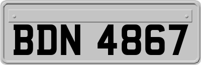 BDN4867
