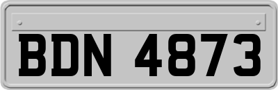 BDN4873